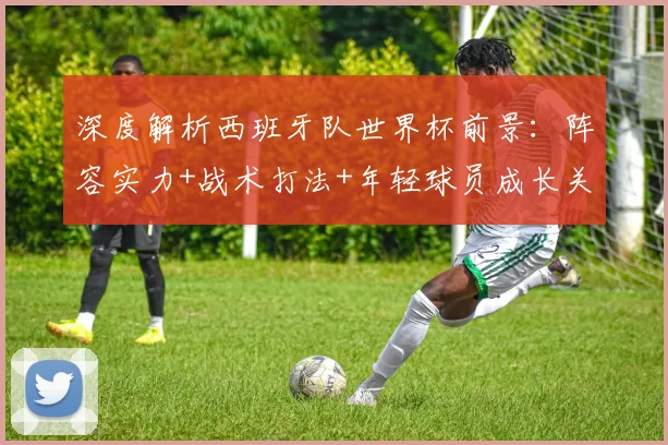 深度解析西班牙队世界杯前景：阵容实力+战术打法+年轻球员成长关键