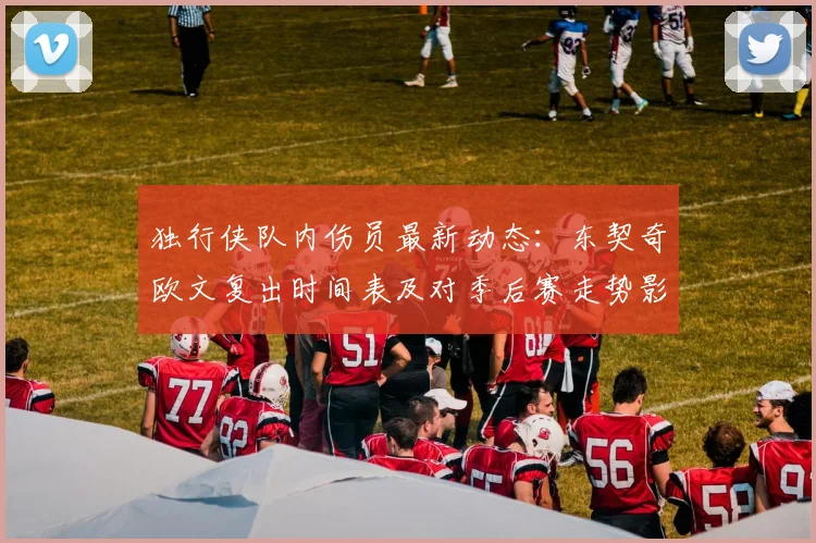 独行侠队内伤员最新动态:东契奇欧文复出时间表及对季后赛走势影响分析