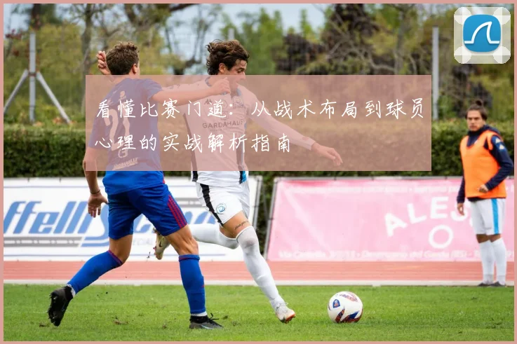 看懂比赛门道：从战术布局到球员心理的实战解析指南